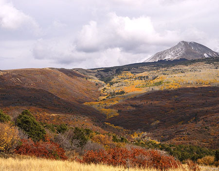 Mountian_Meadow