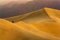 Dune Man 