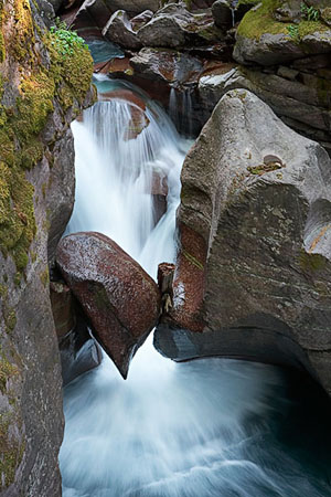 Avalanche Creek 5349