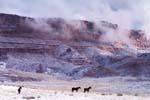 _Winter_Range_Horses600