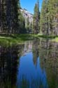 Lake McGee Reflection-6948