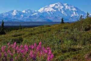 Denali_Daylight-3757-1