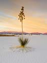 WhiteSands39x12color