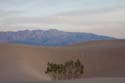 dunes1