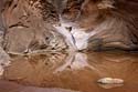 20070816 Grand Canyon #F315