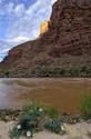 20070816 Grand Canyon #F316