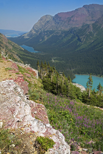 Flowers and lakes_2530