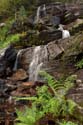 _Creek_Falls 0197 copy