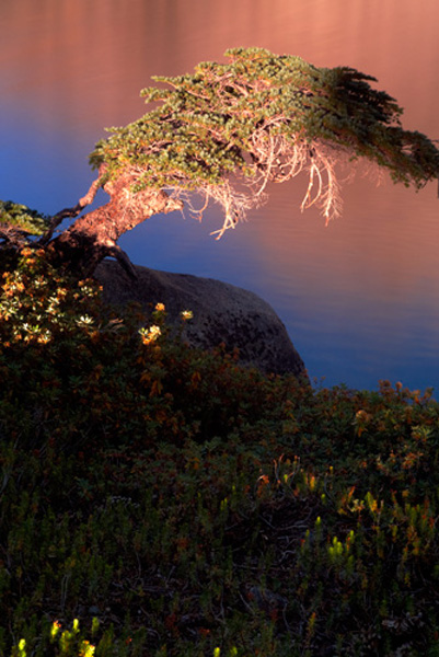 __Shore_Glow